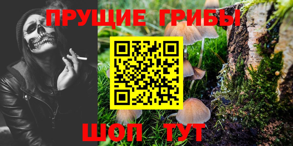 Галлюциногенные грибы MAGIC MUSHROOMS  Галлюциногенные грибы GOLDEN TEACHER  Кашира  Вход с VPN 